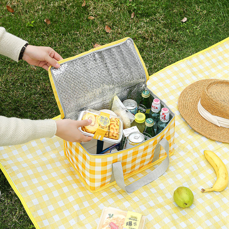Large Capacity Insulated Picni – Food Storage Hiking Bewertung und Preis