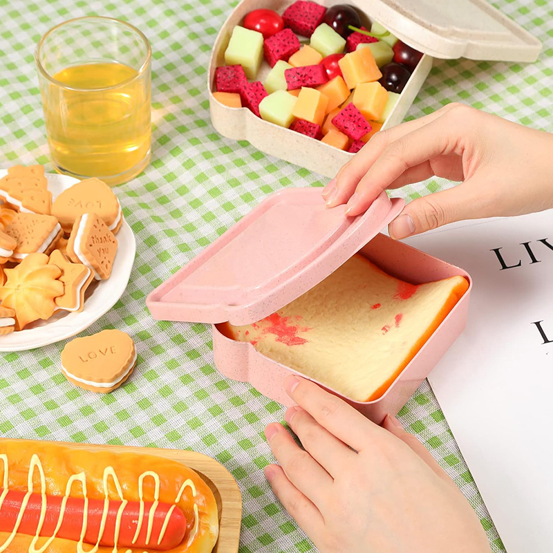 Sandwich Containers Lunch Box  – Food Storage Quart Bewertung und Preis