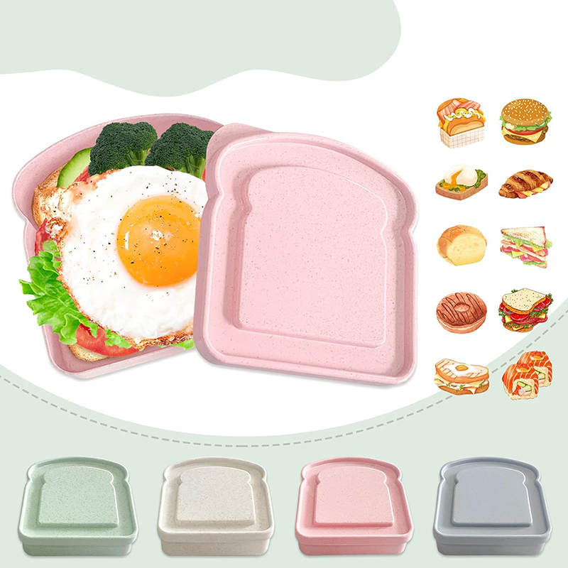 Sandwich Containers Lunch Box  – Food Storage Quart Bewertung und Preis