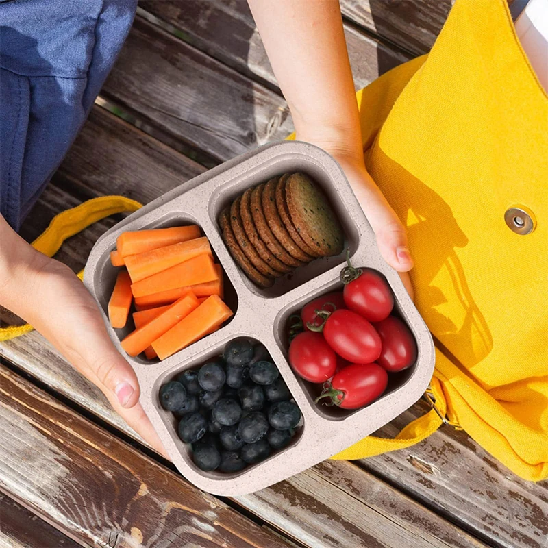 4 Grids Food Storage Box Porta – Food Storage Refrigerator Bewertung und Preis
