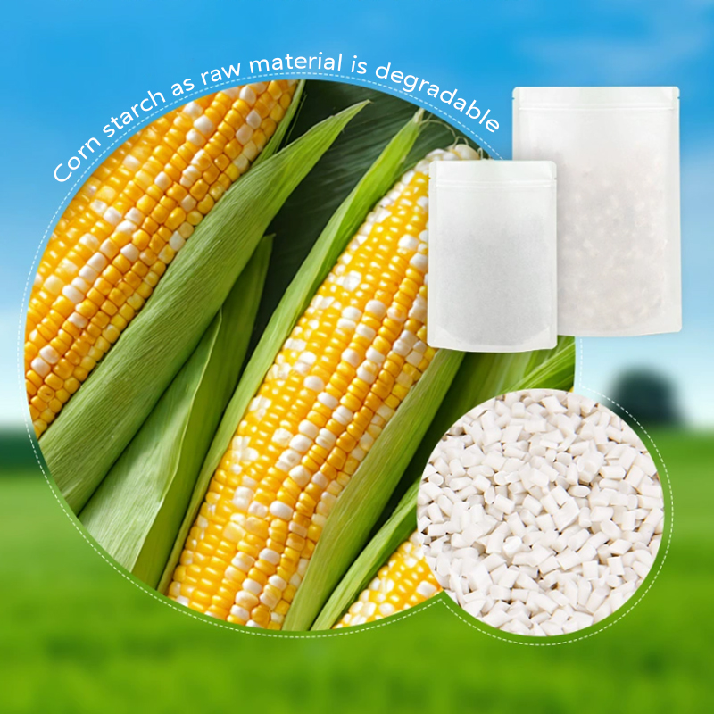 Customized Degradable Kraft Pa – Food Storage Of Plants Bewertung und Preis