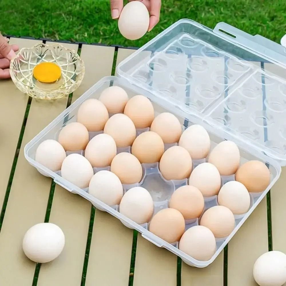 Plastic Egg Storage Box Anti-c – Food Storage Hiking Bewertung und Preis