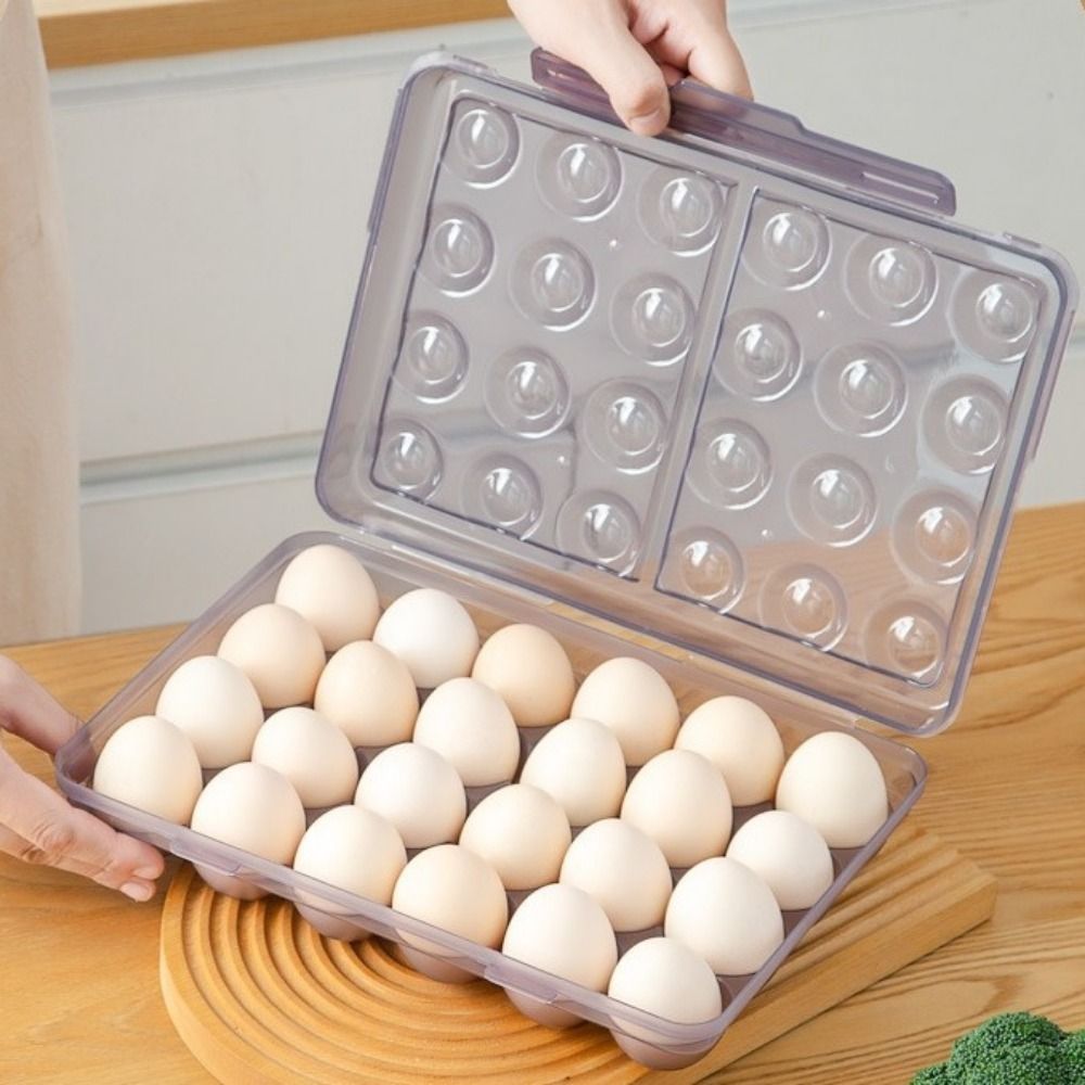 Plastic Egg Storage Box Anti-c – Food Storage Hiking Bewertung und Preis