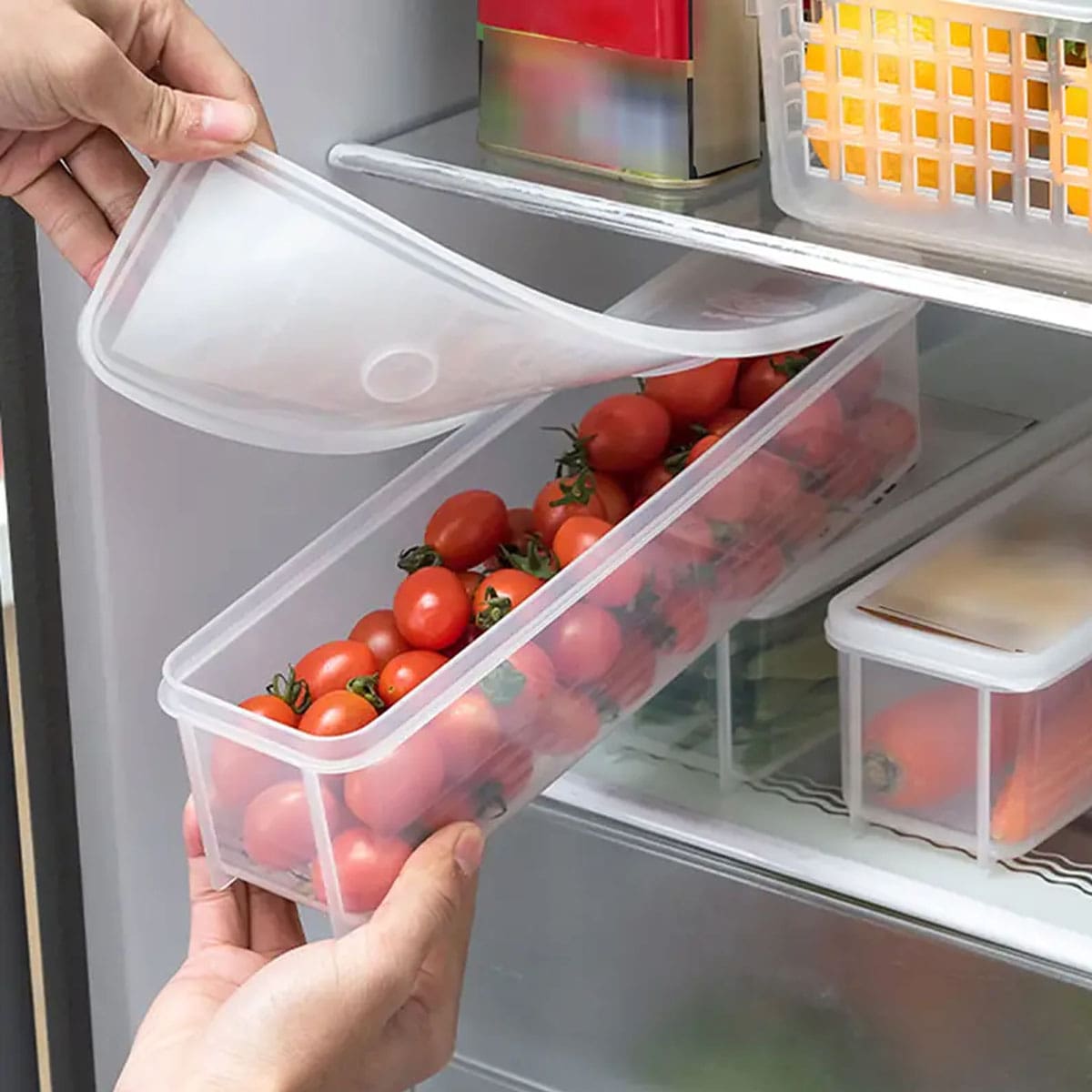1 Plastic Transparent Storage  – Food Storage Quart Bewertung und Preis