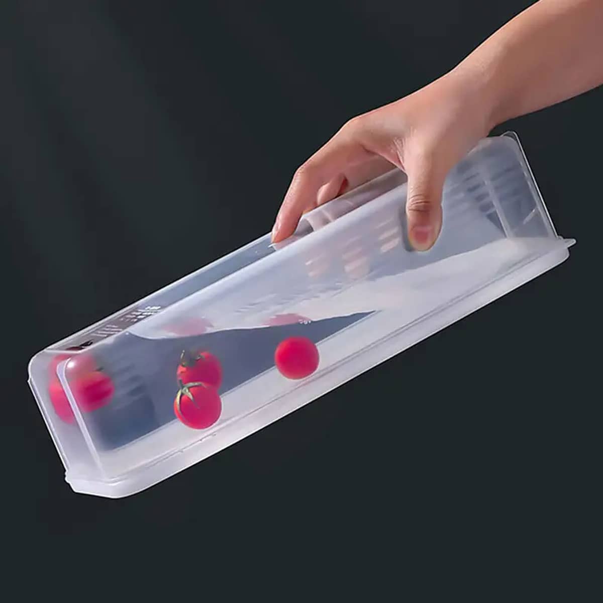 1 Plastic Transparent Storage  – Food Storage Quart Bewertung und Preis